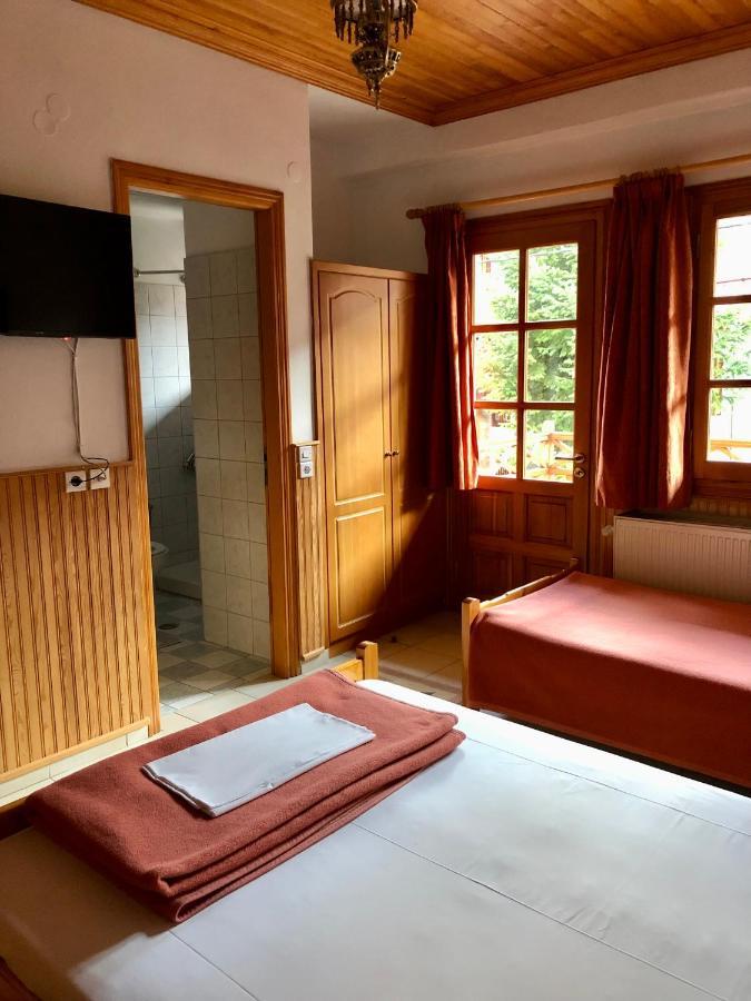 Apostolos Hotel Metsovo Exterior photo